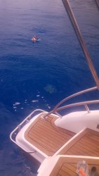 20201005_112418.jpg 20201005_112418.jpg