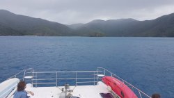 20201005_134610.jpg 20201005_134610.jpg