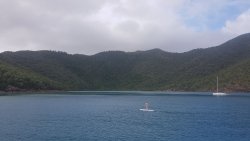 20201006_082349.jpg 20201006_082349.jpg
