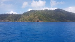 20201006_131428.jpg 20201006_131428.jpg