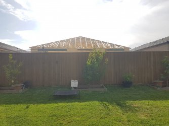 Backyard 2020.jpg Backyard 2020.jpg