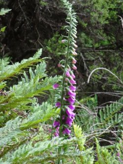 1606973637767.jpeg 1606973637767.jpeg