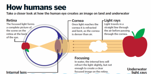 1607497593934.png 1607497593934.png