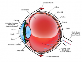 1607498199865.png 1607498199865.png