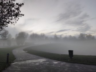 IMG_20201211_075313.jpg IMG_20201211_075313.jpg