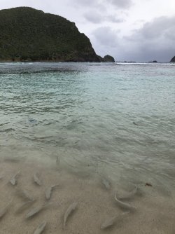 473115C9-9F27-48EC-AED0-3E9D3CAAFF98.jpeg 473115C9-9F27-48EC-AED0-3E9D3CAAFF98.jpeg