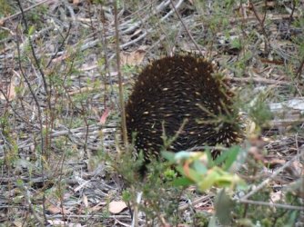 1607825991788.jpeg 1607825991788.jpeg