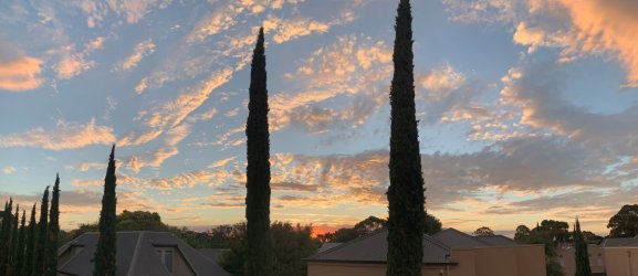 IMG_1174.jpg IMG_1174.jpg