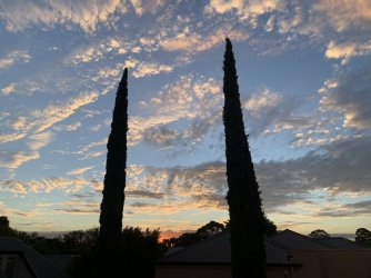 IMG_1176.jpg IMG_1176.jpg