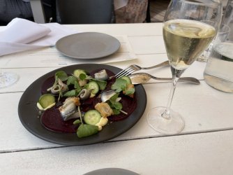 A1B0038B-55E2-485A-9D69-58ACF81A402B.jpeg A1B0038B-55E2-485A-9D69-58ACF81A402B.jpeg