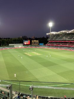 4786DBED-8EEF-42E4-8B40-C7CC8EA18DA3.jpeg 4786DBED-8EEF-42E4-8B40-C7CC8EA18DA3.jpeg