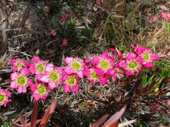 20201220_135744.jpg 20201220_135744.jpg