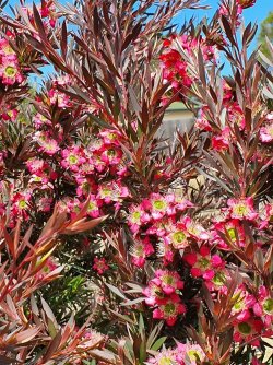 20201220_135733.jpg 20201220_135733.jpg