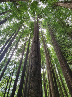 1608538501912.png 1608538501912.png