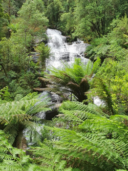 1608538580955.png 1608538580955.png