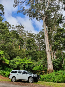 1608538627289.png 1608538627289.png