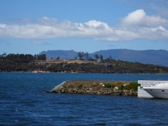 1608541510043.jpeg 1608541510043.jpeg