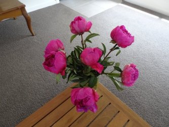 1608580212489.jpeg 1608580212489.jpeg