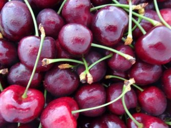 1608580261425.jpeg 1608580261425.jpeg