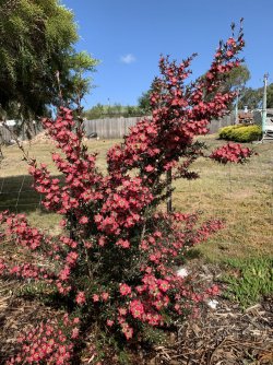 IMG_0005.jpeg IMG_0005.jpeg