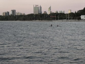 Planet4.jpg Planet4.jpg