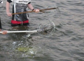 Planet3.jpg Planet3.jpg