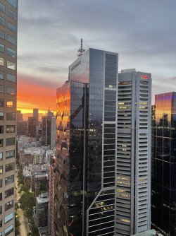 Sofitel on Collins Sunset.jpg