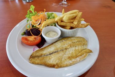 18FFDC3D-9AF7-48F6-8883-6EAB7DF6C1E1.jpeg 18FFDC3D-9AF7-48F6-8883-6EAB7DF6C1E1.jpeg