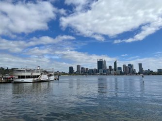 Rhino10.jpg Rhino10.jpg