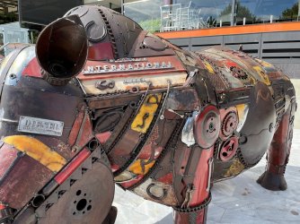 Rhino8.jpg Rhino8.jpg