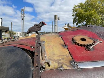 Rhino6.jpg Rhino6.jpg