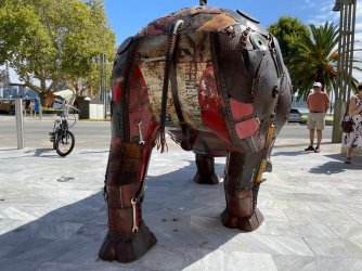 Rhino4.jpg Rhino4.jpg