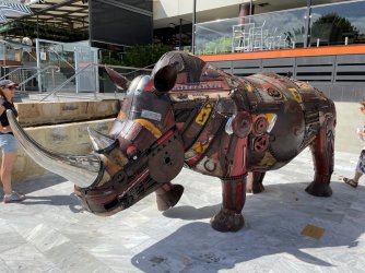 Rhino3.jpg Rhino3.jpg