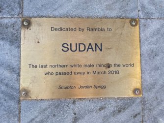 Rhino2.jpg Rhino2.jpg