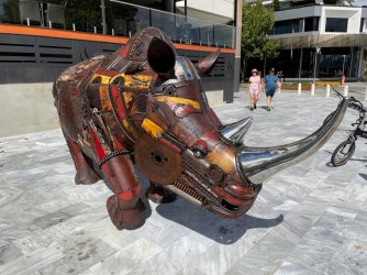 Rhino1.jpg Rhino1.jpg