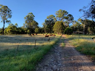 driveway.jpg driveway.jpg