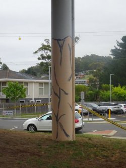 1610525707579.jpeg 1610525707579.jpeg