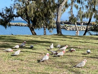 2EB5C8B9-D234-4F00-B605-763970BEE4F2.jpeg 2EB5C8B9-D234-4F00-B605-763970BEE4F2.jpeg