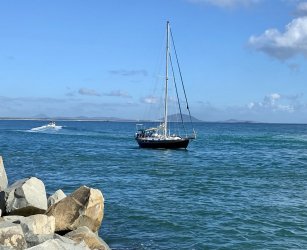 32AE25B3-5534-4F9D-BE5D-24CD412875A5.jpeg 32AE25B3-5534-4F9D-BE5D-24CD412875A5.jpeg