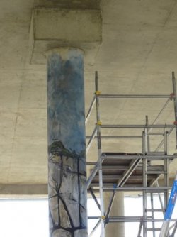 1610620803678.jpeg 1610620803678.jpeg