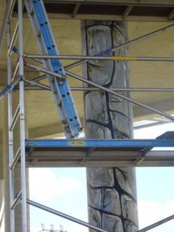 1610620857565.jpeg 1610620857565.jpeg