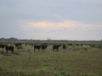 November 2005 264.jpg