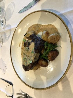 EA18C496-F0B2-4297-AA57-EF9955A61770.jpeg EA18C496-F0B2-4297-AA57-EF9955A61770.jpeg