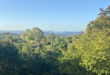 F6006A5C-4217-4452-AE50-9AEBA9458DCF.jpeg F6006A5C-4217-4452-AE50-9AEBA9458DCF.jpeg