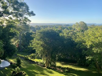 CF31A408-404A-4953-A408-82B588B90CBB.jpeg CF31A408-404A-4953-A408-82B588B90CBB.jpeg