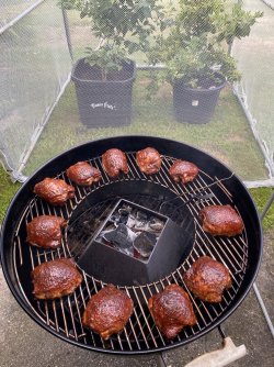 1631060C-A20E-4583-BA7B-A365C6A2A5D6.jpeg 1631060C-A20E-4583-BA7B-A365C6A2A5D6.jpeg