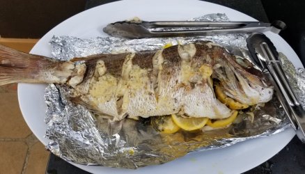 20201225_180518.jpg 20201225_180518.jpg