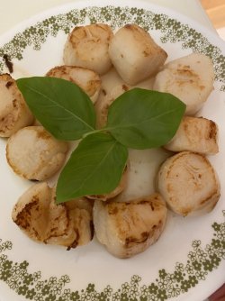 IMG_2069.jpg IMG_2069.jpg