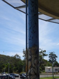 1611216147160.jpeg 1611216147160.jpeg