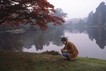 img071.jpg img071.jpg